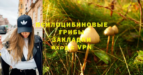 героин Бородино