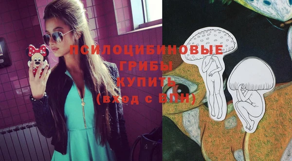 сатива Бронницы