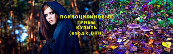 сатива Бронницы