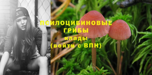 героин Бородино