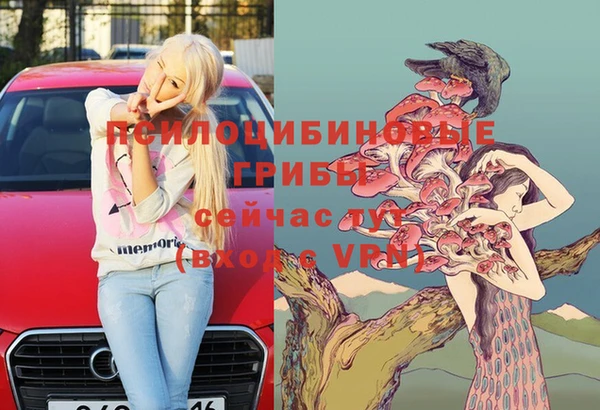 сатива Бронницы