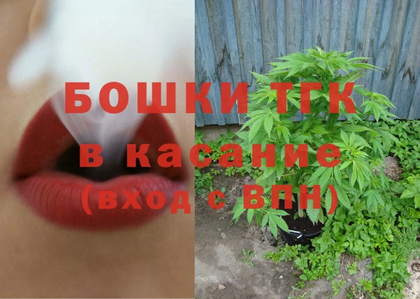 сатива Бронницы